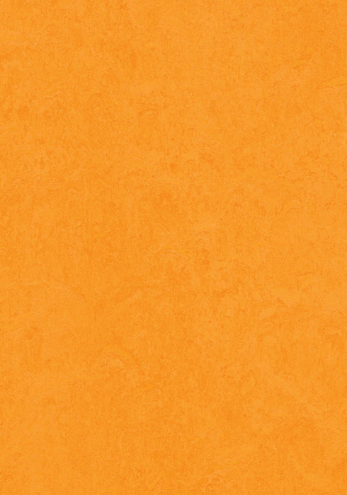 Marmoleum Cinch LOC Seal - Marigold - 93/333262 B&R: Flooring & Carpeting Forbo