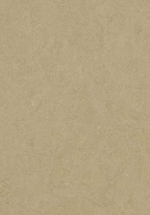Marmoleum Cinch LOC Seal - Oat - 93/333890 B&R: Flooring & Carpeting Forbo