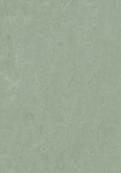 Marmoleum Cinch LOC Seal - Sage - 93/333891 B&R: Flooring & Carpeting Forbo