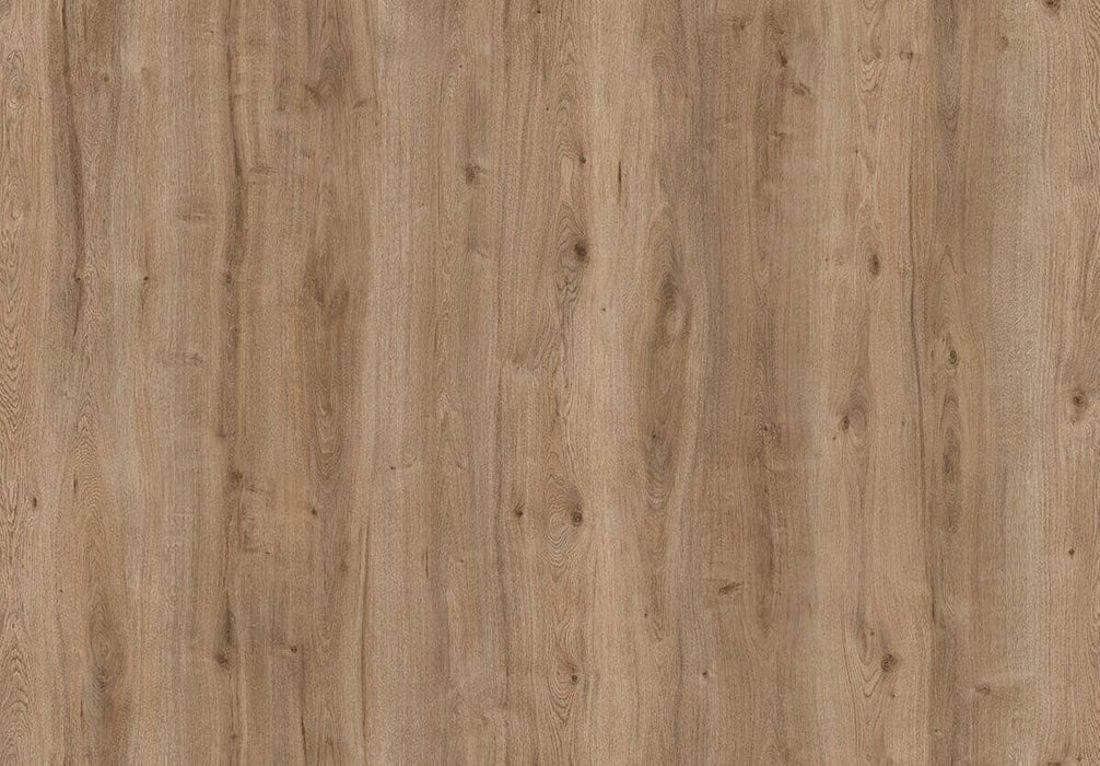 Amorim Wise Wood Pro (Glue-Down) - Field Oak B&R: Flooring & Carpeting Amorim Flooring 