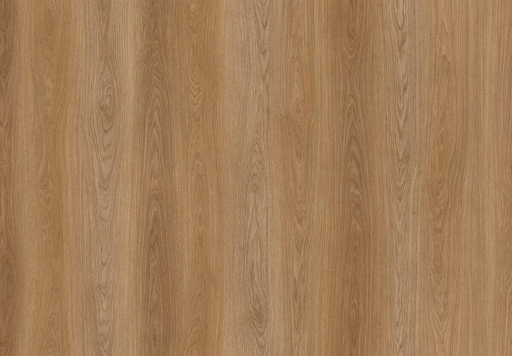 Amorim Wise Wood Pro (Glue-Down) - Manor Oak B&R: Flooring & Carpeting Amorim Flooring 