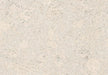 Amorim Wise Cork PURE (Glue-Down) - Personality Moonlight B&R: Flooring & Carpeting Amorim Flooring 