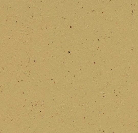 Marmoleum Cocoa - 3587 Curcuma B&R: Flooring & Carpeting Forbo