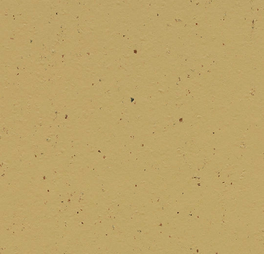 Marmoleum Cocoa - 3587 - Curcuma B&R: Flooring & Carpeting Forbo