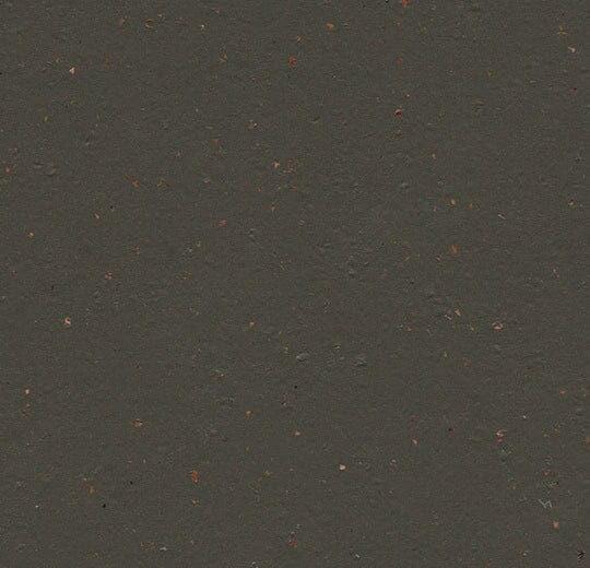 Marmoleum Cocoa - 3591 Black Tea B&R: Flooring & Carpeting Forbo