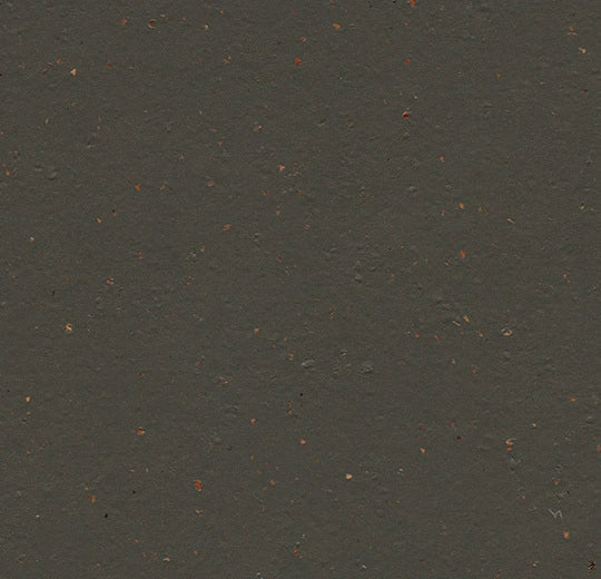 Marmoleum Cocoa - 3591 - Black Tea B&R: Flooring & Carpeting Forbo