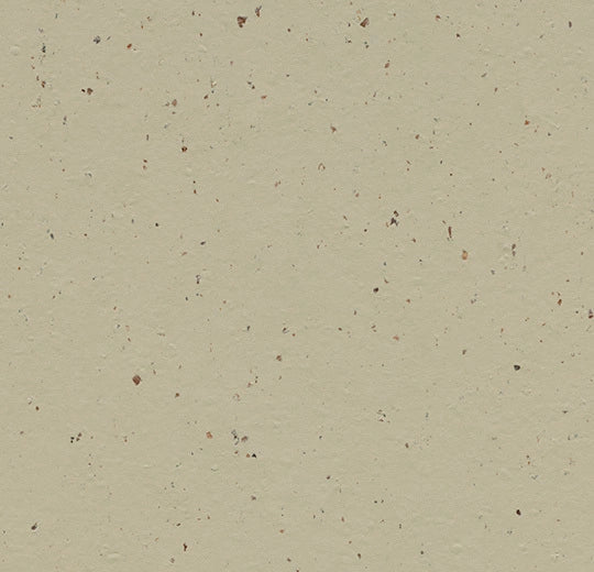 Marmoleum Cocoa - 3595 - Pannacotta B&R: Flooring & Carpeting Forbo