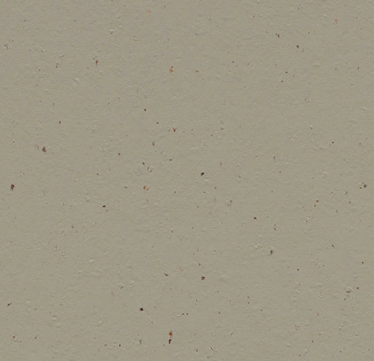 Marmoleum Cocoa - 3596 - Hummus B&R: Flooring & Carpeting Forbo