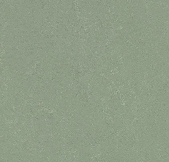 Marmoleum Concrete - 3750 - Pine Forest B&R: Flooring & Carpeting Forbo