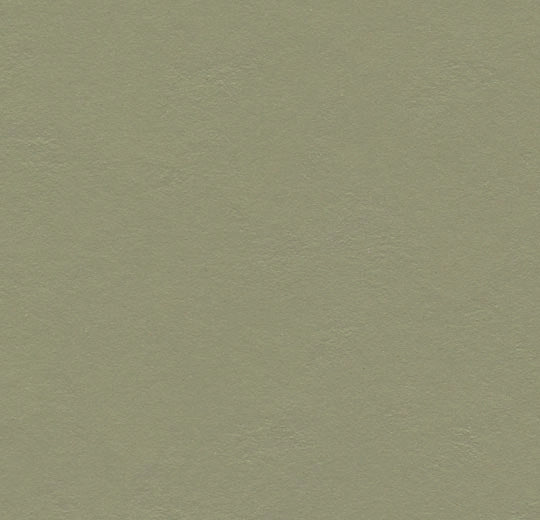 Marmoleum Decibel - Rosemary Green - 335535 B&R: Flooring & Carpeting Forbo