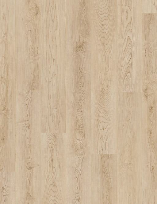 COREtec Pro Plus Enhanced - Shoreline Maple - VV492-02030 B&R: Flooring & Carpeting USFloors 