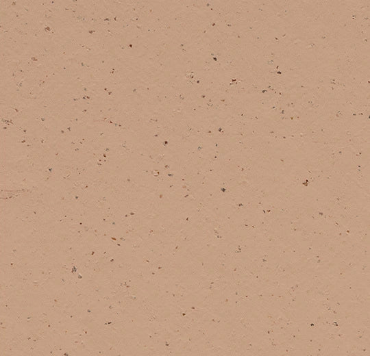 Marmoleum Sheet Splash - Salted Caramel - 3592 B&R: Flooring & Carpeting Forbo