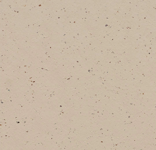 Marmoleum Cocoa - Meringue - 3590 B&R: Flooring & Carpeting Forbo