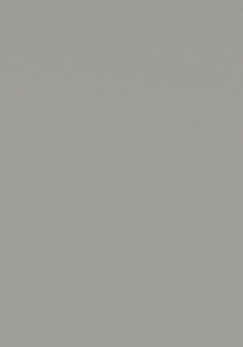 Marmoleum Sheet Walton - Cement B&R: Flooring & Carpeting Forbo USA