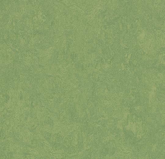 Marmoleum Sheet Fresco - Leaf - 3260 B&R: Flooring & Carpeting Forbo