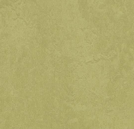 Marmoleum Sheet Fresco - Avocado - 3265 B&R: Flooring & Carpeting Forbo