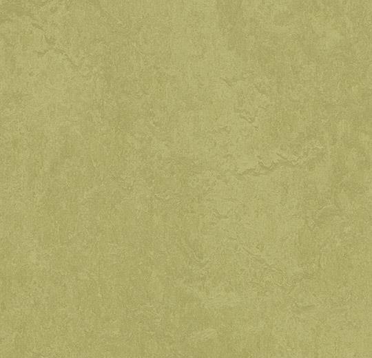 Marmoleum Sheet Fresco - Avocado - 3265 B&R: Flooring & Carpeting Forbo 