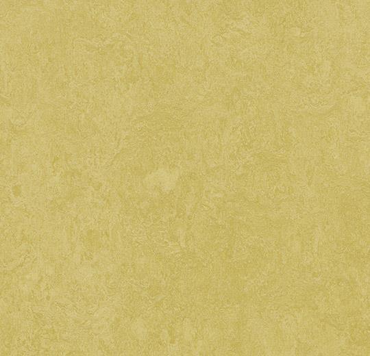Marmoleum Sheet Fresco - Mustard - 3259 B&R: Flooring & Carpeting Forbo