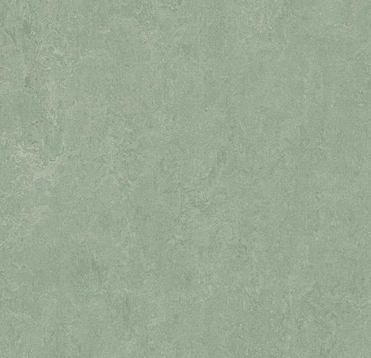 Marmoleum Sheet Fresco - Sage - 3891 B&R: Flooring & Carpeting Forbo