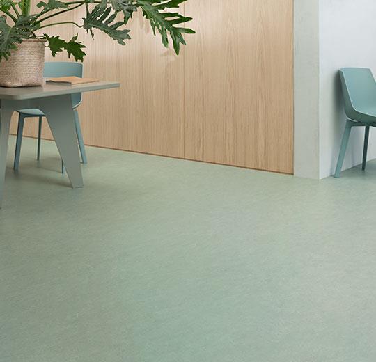 Marmoleum Sheet Fresco - Sage - 3891 B&R: Flooring & Carpeting Forbo
