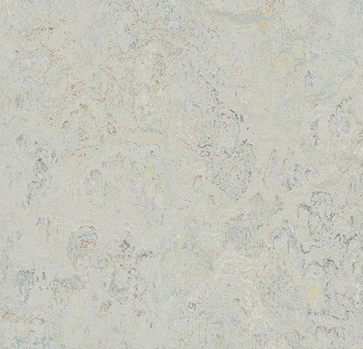 Marmoleum Sheet Splash - Seashell - 3428 B&R: Flooring & Carpeting Forbo 
