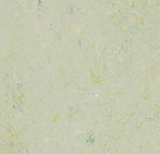 Marmoleum Sheet Splash - Salsa Verde - 3430 B&R: Flooring & Carpeting Forbo