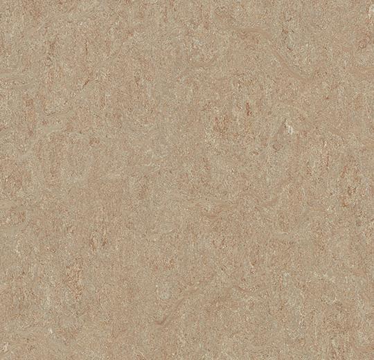 Marmoleum Sheet Terra - Weathered Sand - 5803 B&R: Flooring & Carpeting Forbo