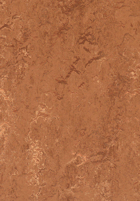 Marmoleum Sheet Real - Rust B&R: Flooring & Carpeting Forbo USA