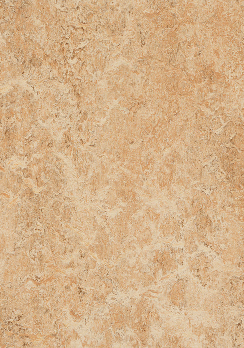 Marmoleum Composition Tile (MCT) - Shell 3075 B&R: Flooring & Carpeting Marmoleum 
