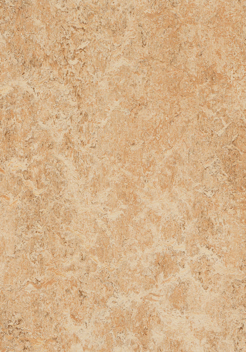 Marmoleum Sheet Real 3.2mm - Shell B&R: Flooring & Carpeting Forbo USA