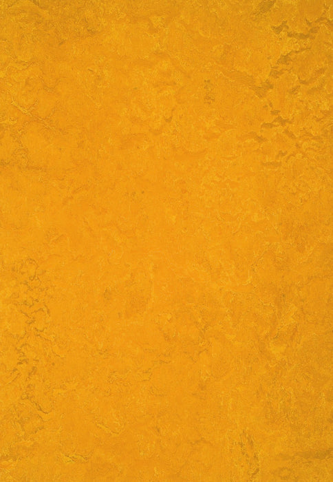 Marmoleum Sheet Real - Golden Sunset B&R: Flooring & Carpeting Forbo USA 