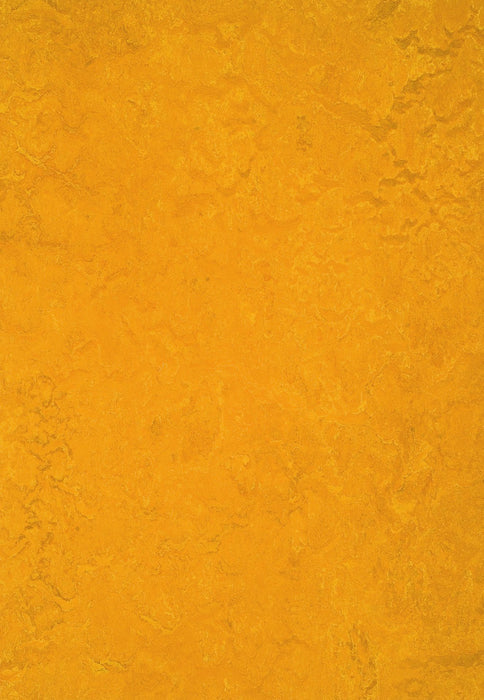 Marmoleum Sheet Real - Golden Sunset B&R: Flooring & Carpeting Forbo USA