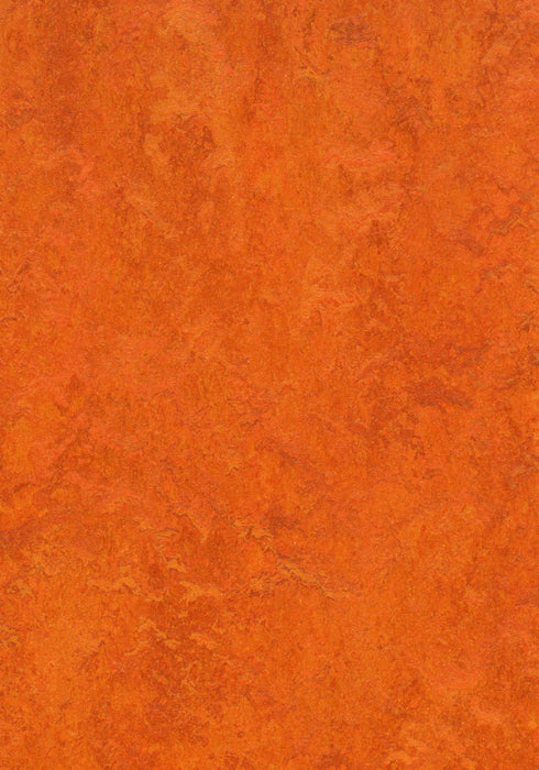 Marmoleum Sheet Real - Kyoto B&R: Flooring & Carpeting Forbo USA