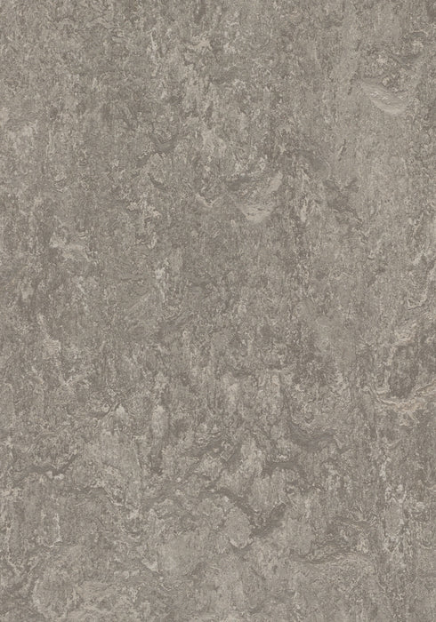 Marmoleum Sheet Real 3.2mm - Serene Grey B&R: Flooring & Carpeting Forbo USA