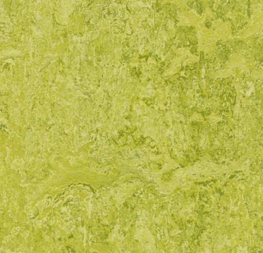 Marmoleum MCS - Chartreuse - 3224 B&R: Flooring & Carpeting Forbo USA