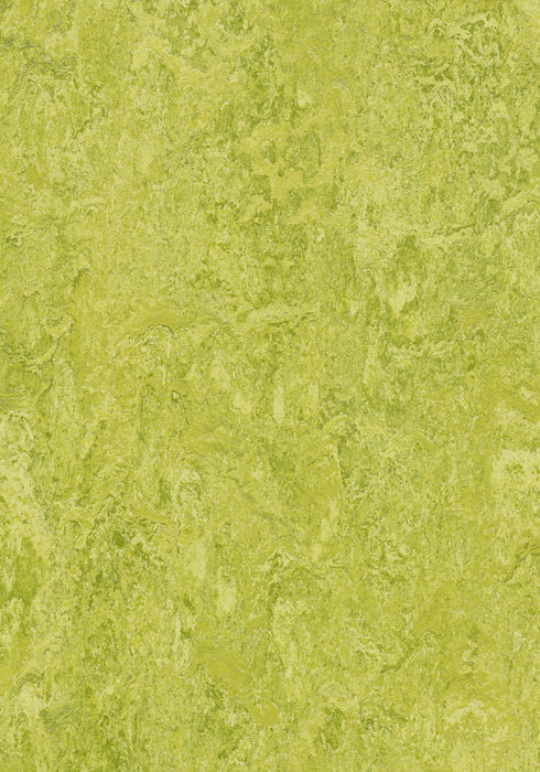 Marmoleum Sheet Real - Chartreuse B&R: Flooring & Carpeting Forbo USA