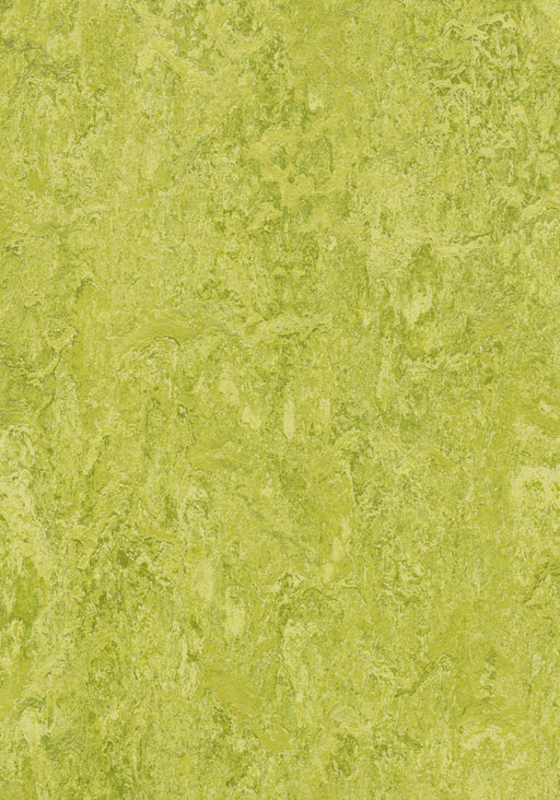 Marmoleum Sheet Real - Chartreuse B&R: Flooring & Carpeting Forbo USA 