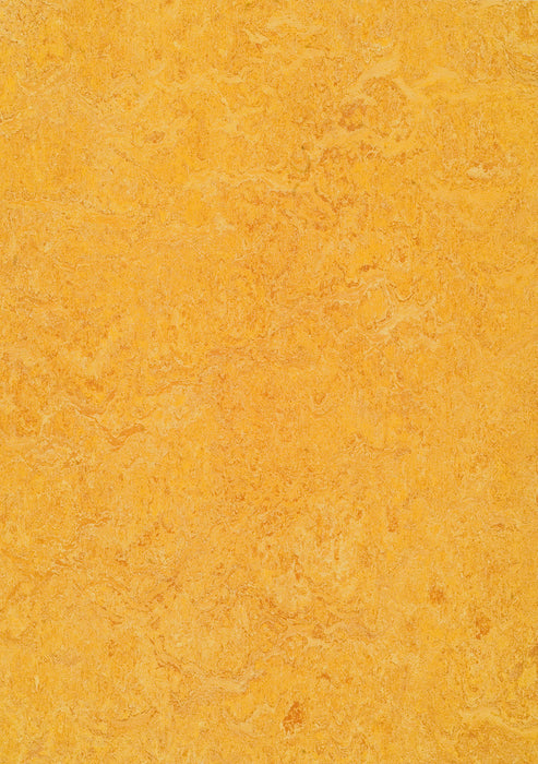 Marmoleum Sheet Real - Dandelion B&R: Flooring & Carpeting Forbo USA