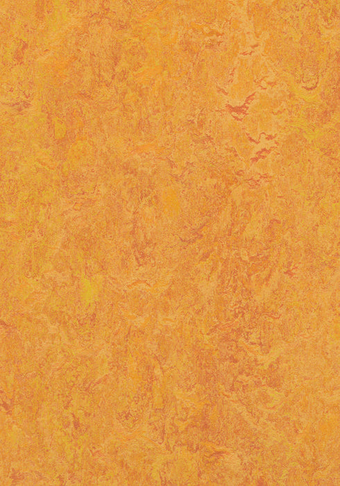 Marmoleum Sheet Real - Marigold B&R: Flooring & Carpeting Forbo USA
