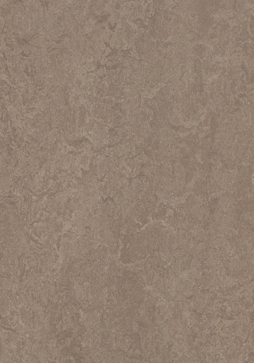 Marmoleum Sheet Real - Shrike B&R: Flooring & Carpeting Forbo USA 