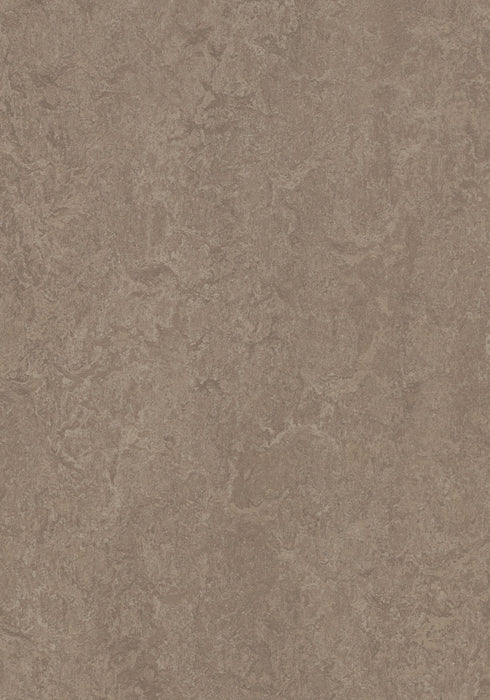 Marmoleum Decibel Sheet Real - Shrike B&R: Flooring & Carpeting Forbo USA