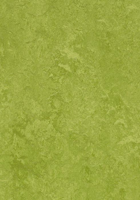 Marmoleum Sheet Real - Green B&R: Flooring & Carpeting Forbo USA