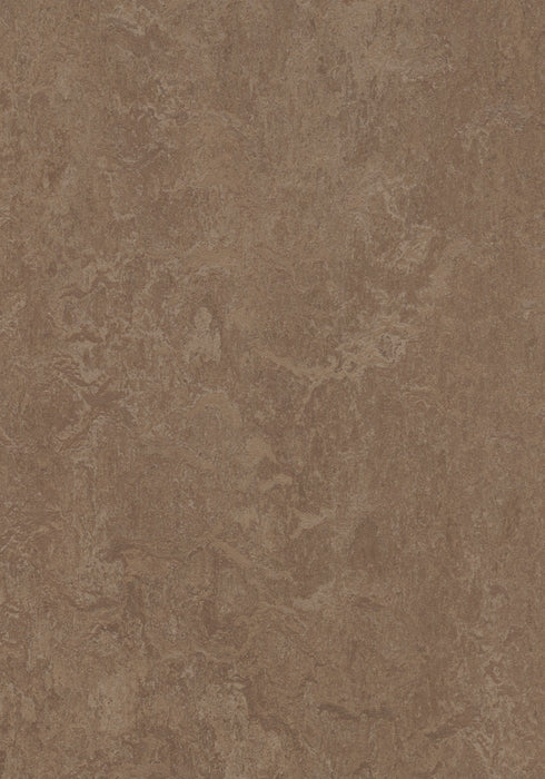 Marmoleum Sheet Real - Clay B&R: Flooring & Carpeting Forbo USA