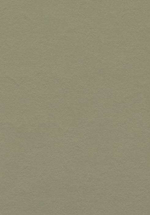 Marmoleum Sheet Walton - Rosemary Green B&R: Flooring & Carpeting Forbo USA 