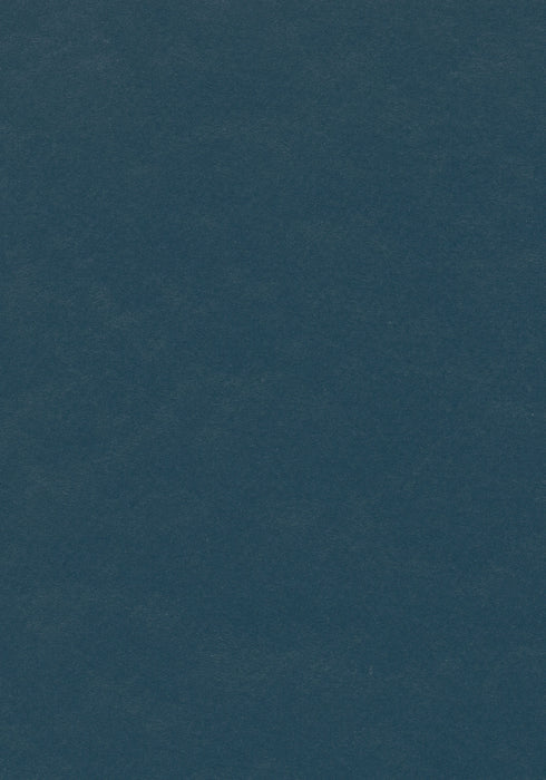 Marmoleum Sheet Walton - Petrol B&R: Flooring & Carpeting Forbo USA