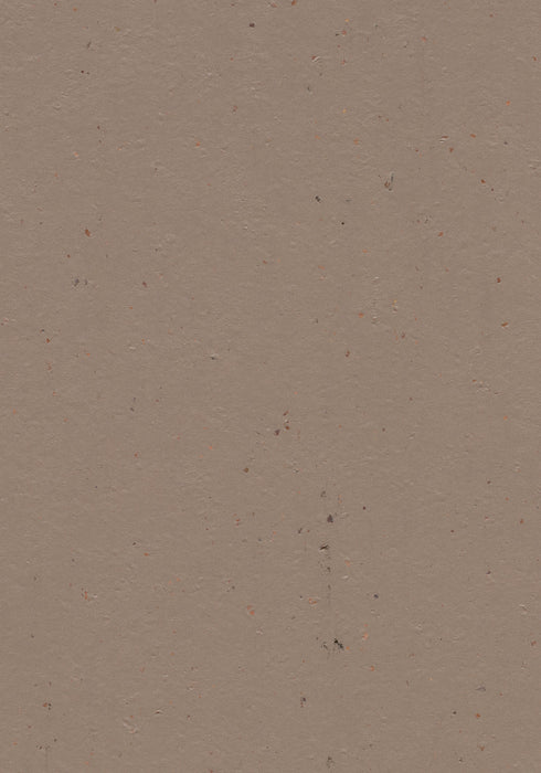 Marmoleum Sheet Cocoa - Milk Chocolate B&R: Flooring & Carpeting Forbo USA