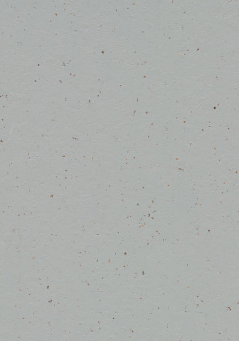 Marmoleum Sheet Cocoa - Earl Grey Chocolate B&R: Flooring & Carpeting Forbo USA