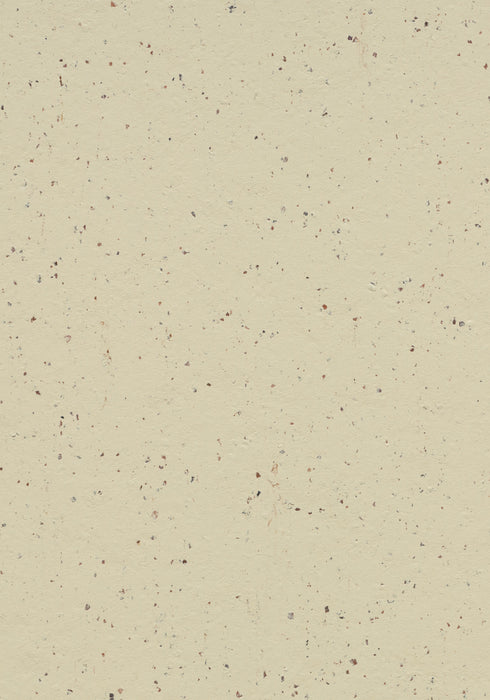 Marmoleum Sheet Cocoa - White Chocolate B&R: Flooring & Carpeting Forbo USA