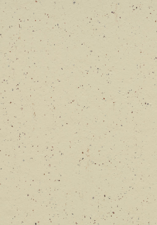 Marmoleum Sheet Cocoa - White Chocolate B&R: Flooring & Carpeting Forbo USA 