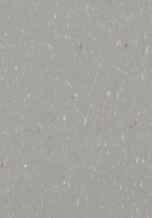 Marmoleum Sheet Piano - Warm Grey B&R: Flooring & Carpeting Forbo USA 